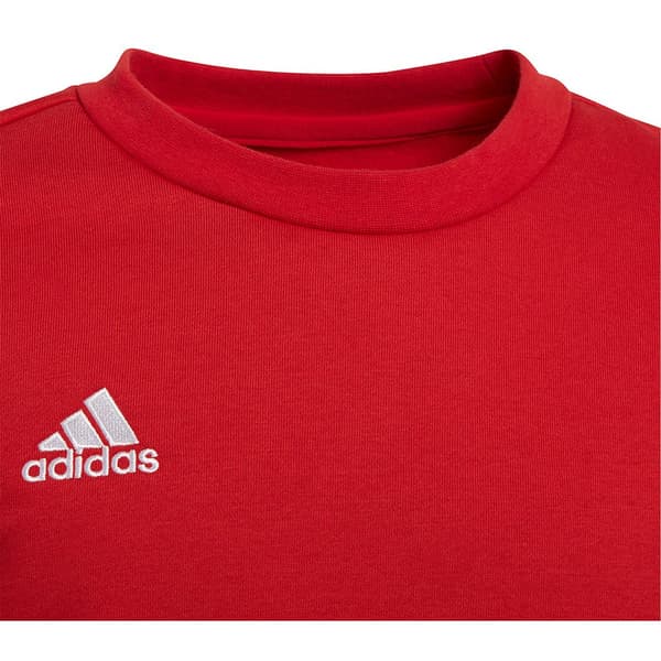 Adidas Entrada 22 Stadium Sw Tröja Röd 7-8 Years Pojke
