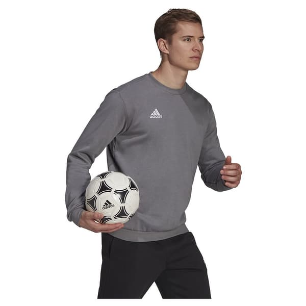 Adidas Ent22 Huppari Harmaa 3XL Mies