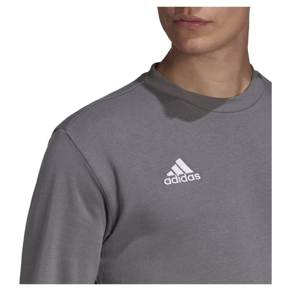 Adidas Ent22 Huppari Harmaa 3XL Mies