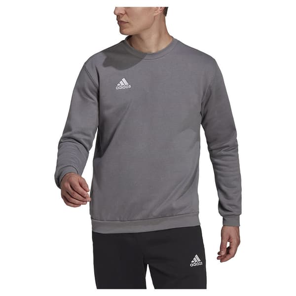 Adidas Ent22 Huppari Harmaa 3XL Mies
