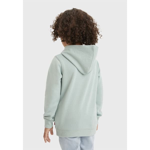 Levi´s ® Kids Mini Batwing Pull Over Tröja Med Huva Grå 6 Years