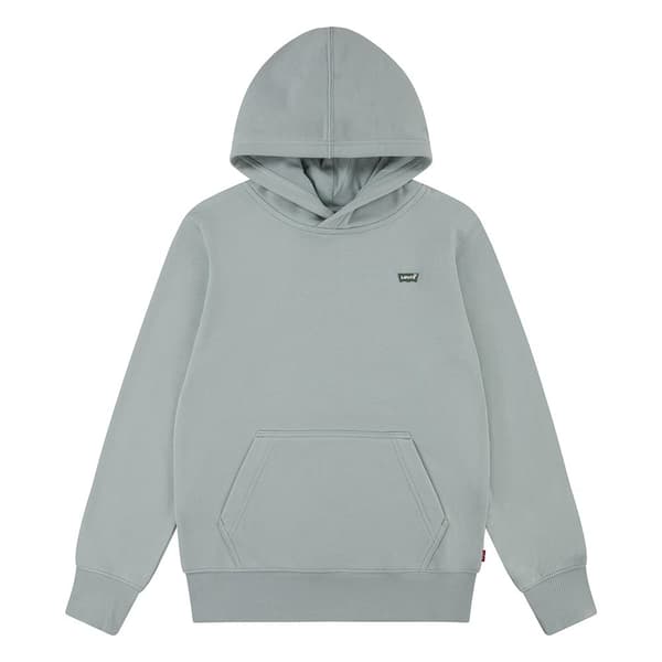 Levi´s ® Kids Mini Batwing Pull Over Tröja Med Huva Grå 6 Years