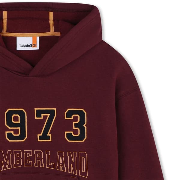 Timberland T60317 Hættetrøje Rød 10 Years