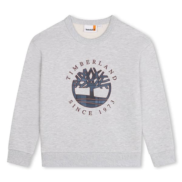 Timberland T60319 Sweatshirt Grå 14 Years