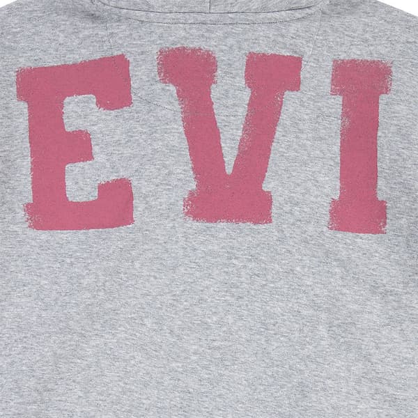 Levi´s ® Kids Collegiate Hættetrøje Grå 4 Years