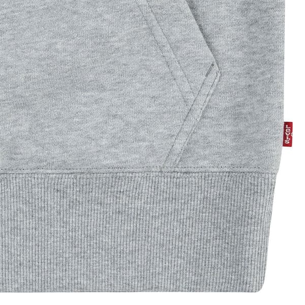Levi´s ® Kids Monogram Tröja Med Huva Grå 10 Years