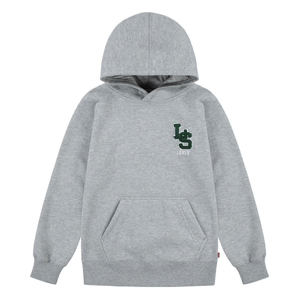 Levi´s ® Kids Monogram Tröja Med Huva Grå 10 Years
