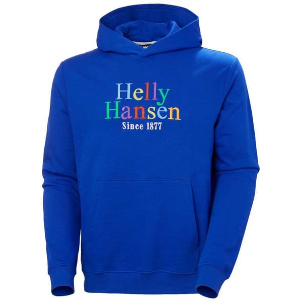 Helly Hansen Core Graphic Hættetrøje Blå L Mand