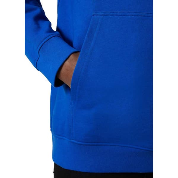 Helly Hansen Core Graphic Hættetrøje Blå L Mand