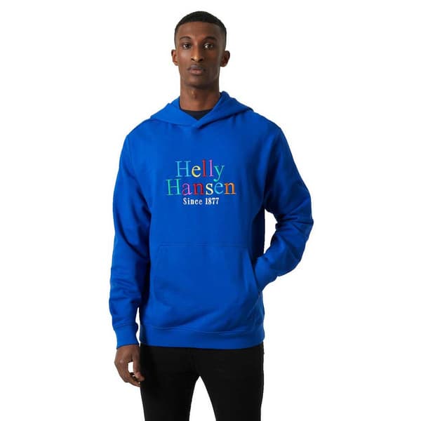 Helly Hansen Core Graphic Hættetrøje Blå L Mand