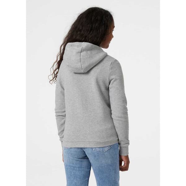 Helly Hansen Logo Hættetrøje Grå 8 Years