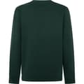 Miniatyrbillede 2 af 3: Hackett Harry Sweatshirt Grøn S Mand