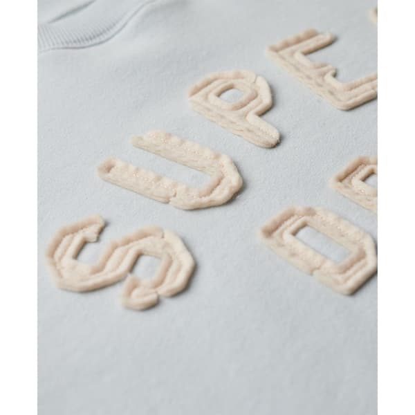 Superdry Applique Athletic Loose Tröja Blå S Kvinna