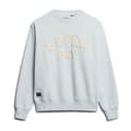 Miniatyrbild 2 av 6: Superdry Applique Athletic Loose Tröja Blå S Kvinna