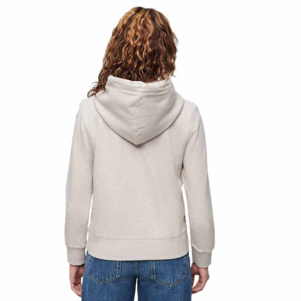Superdry Embroidered Vl Graphic Hættetrøje Beige XS Kvinde