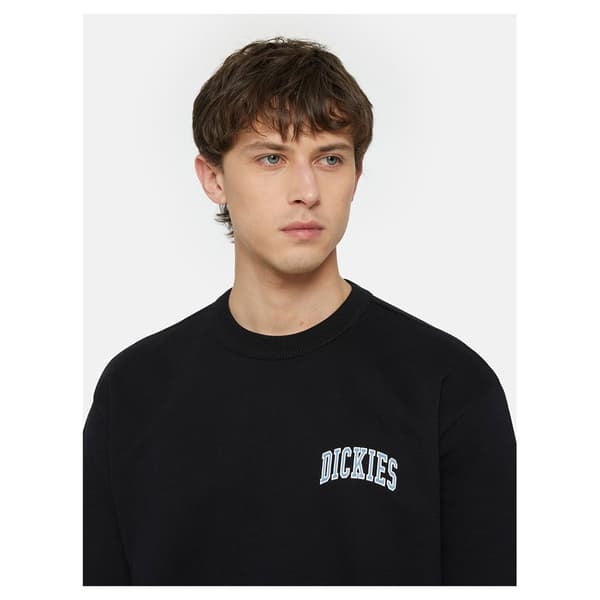 Dickies Aitkin Chest Tröja Svart M Man