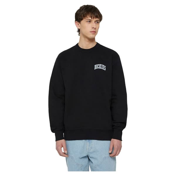 Dickies Aitkin Chest Tröja Svart M Man