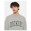 Miniatyrbillede 5 af 6: Dickies Aitkin Sweatshirt Grå L Mand
