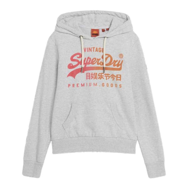 Superdry Tonal Vl Graphic Tröja Med Huva Grå XS Kvinna