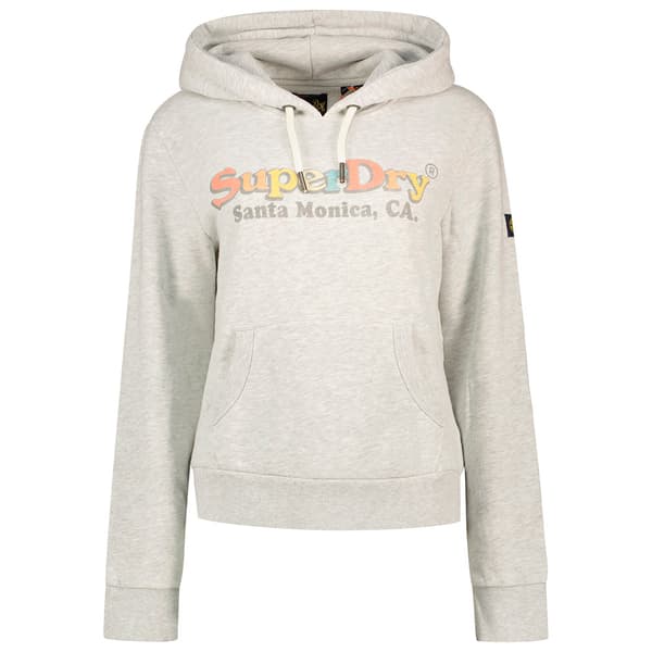 Superdry Rainbow Logo Huvtröja Grå XS Kvinna