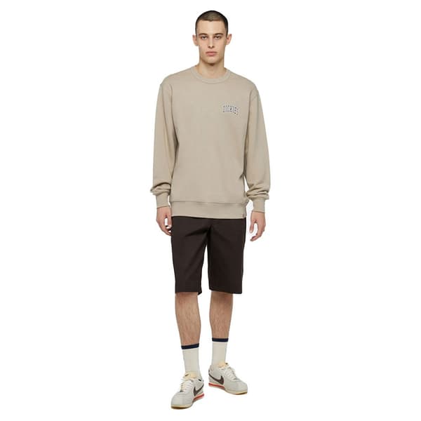 Dickies Aitkin Chest Huppari Beige S Mies