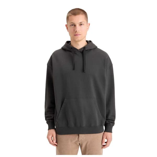 Scotch & Soda Loose Fit Back Artwork Hættetrøje Grå M Mand