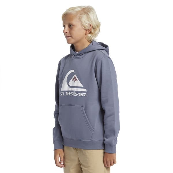 Quiksilver Big Logo Hættetrøje Grå 16 Years Dreng