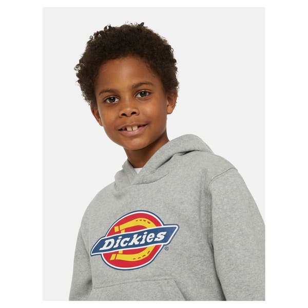 Dickies Youth Logo Hættetrøje Grå XS Mand