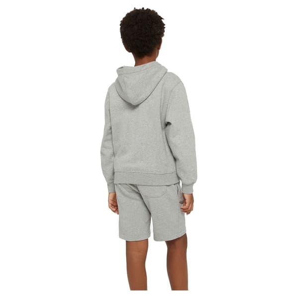 Dickies Youth Logo Hættetrøje Grå XS Mand
