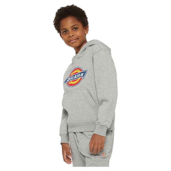 Dickies Youth Logo Hættetrøje Grå XS Mand