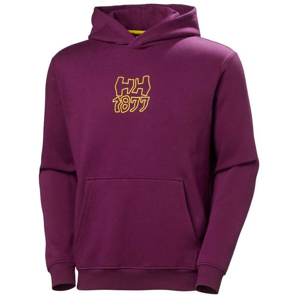 Helly Hansen Graphic Hættetrøje Lilla XL Mand