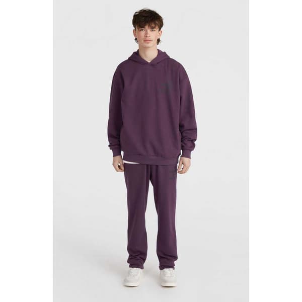 O´neill The Future Surf Society Huppari Violetti 2XL Mies