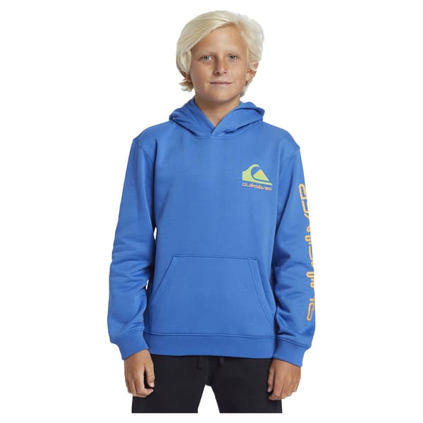 Quiksilver Omni Logo Huvtröja Blå 16 Years Pojke