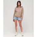 Pikkukuva 6 / 6: Superdry Metallic Vl Graphic Huppari Beige S Nainen