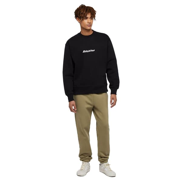 Dickies Enterprise Tröja Svart L Man
