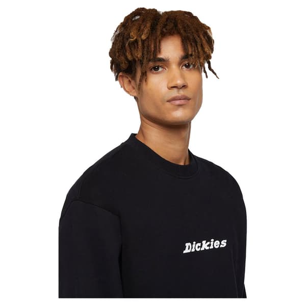 Dickies Enterprise Tröja Svart L Man