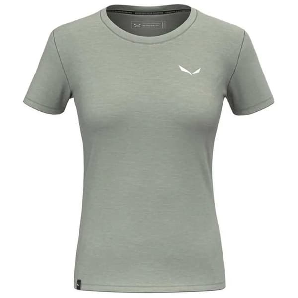 Salewa Eagle Minilogo Am T-shirt Med Korte ærmer Grå XL Kvinde