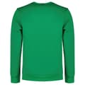 Miniatyrbild 2 av 2: Le Coq Sportif 2310557 Essentials N°4 Tröja Grönt 2XL Man