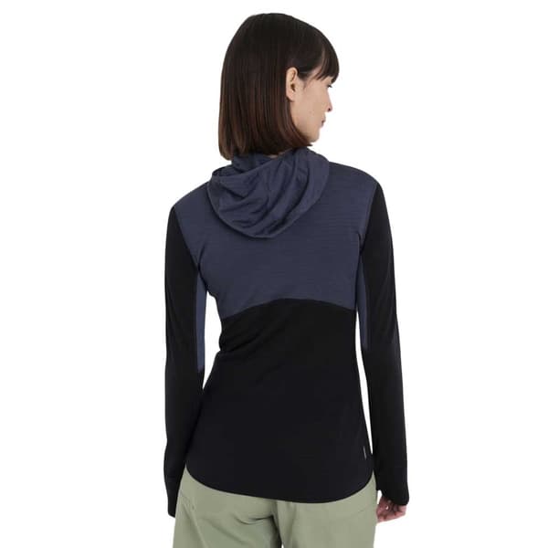 Icebreaker Merino 200 Realfleece Descender Sweatshirt Med Dragkedja Grå S Kvinna