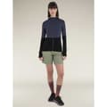 Pikkukuva 3 / 3: Icebreaker Merino 200 Realfleece Descender Kokovetoketjullinen Collegepaita Harmaa M Nainen