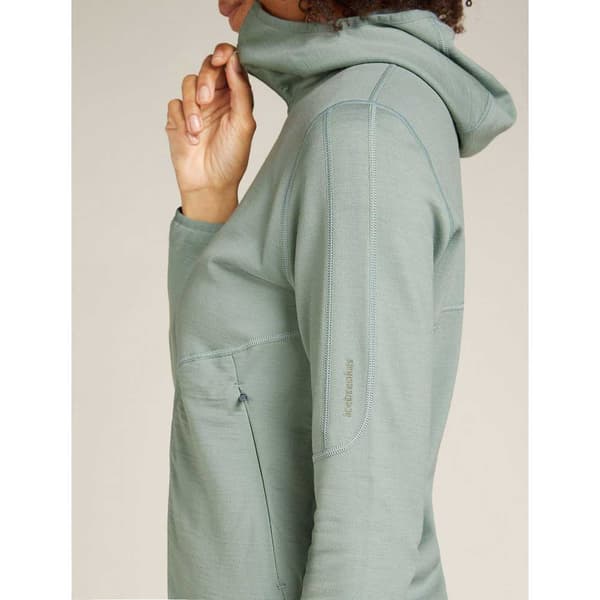 Icebreaker Merino 560 Realfleece Elemental Ii Sweatshirt Med Dragkedja Grönt L Kvinna