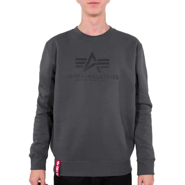 Alpha Industries Basic Tröja Grå XS Man