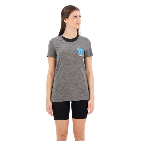 Icebreaker Tech Lite Ii Earth T-shirt Med Korta ärmar Grå XS Kvinna
