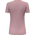 Pikkukuva 3 / 4: Salewa Pure Box Dry Lyhythihainen T-paita Pinkki 2XS Nainen