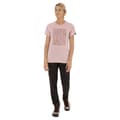 Pikkukuva 1 / 4: Salewa Pure Box Dry Lyhythihainen T-paita Pinkki 2XS Nainen