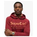 Miniatyrbild 2 av 3: Superdry Tonal Venue Logo Huvtröja Röd L Man
