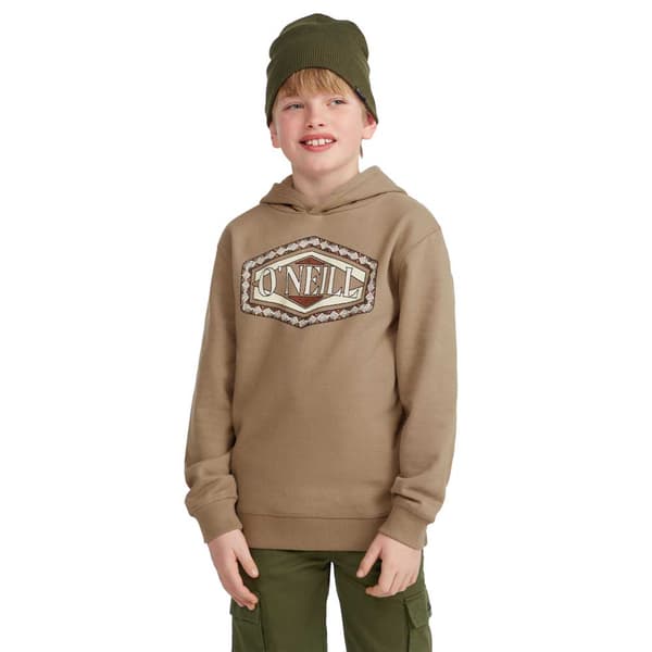O´neill Front Print Huvtröja Brun 7-8 Years Pojke