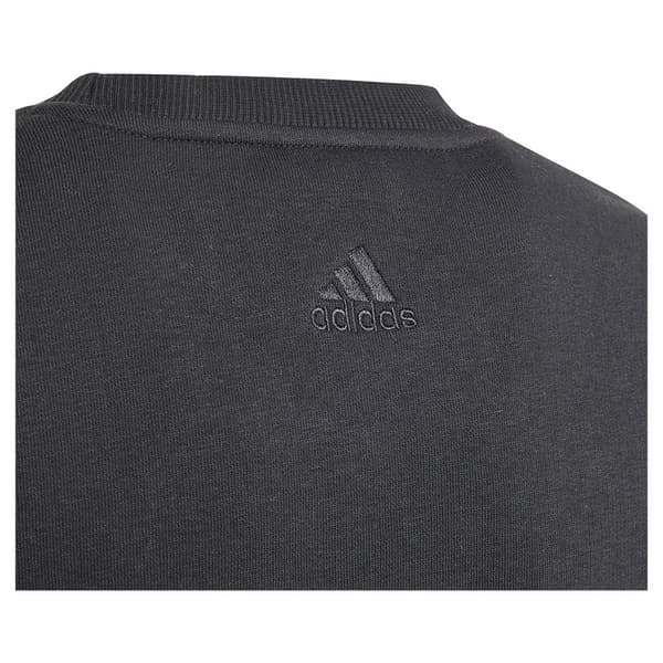 Adidas All Szn Graphic Tröja Svart 7-8 Years Pojke