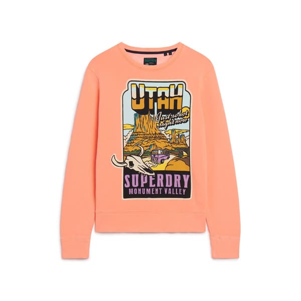 Superdry Neon Travel Loose Tröja Orange 2XL Man