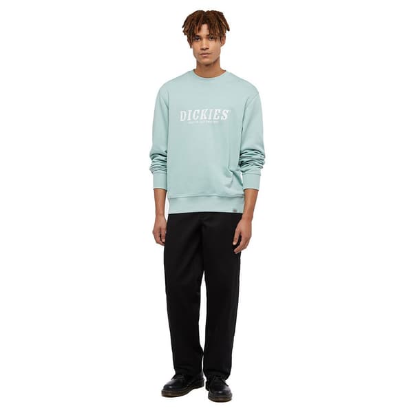Dickies Script Tröja Blå M Man